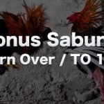 10% Bonus Deposit Member Sabung Ayam