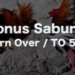 5% Bonus Deposit Member Sabung Ayam