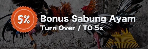 Bonus 5% Deposit Member Sabung Ayam