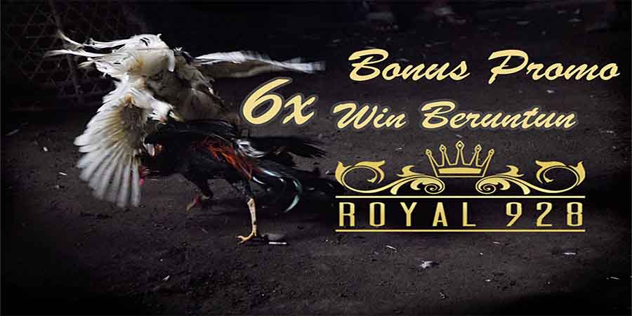 Promo Bonus Sabung Ayam 6x Win Beruntun